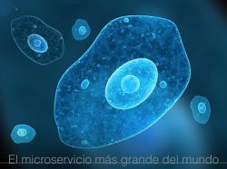 El microservicio más grande del mundo